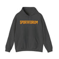Sportatorium™ Pullover Hoodie